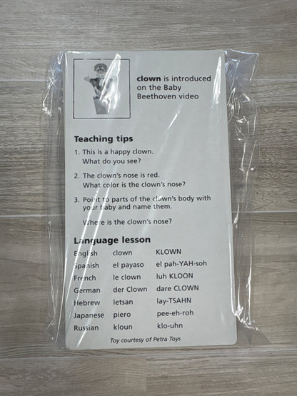 Toy - Multi Lingual Flashcards