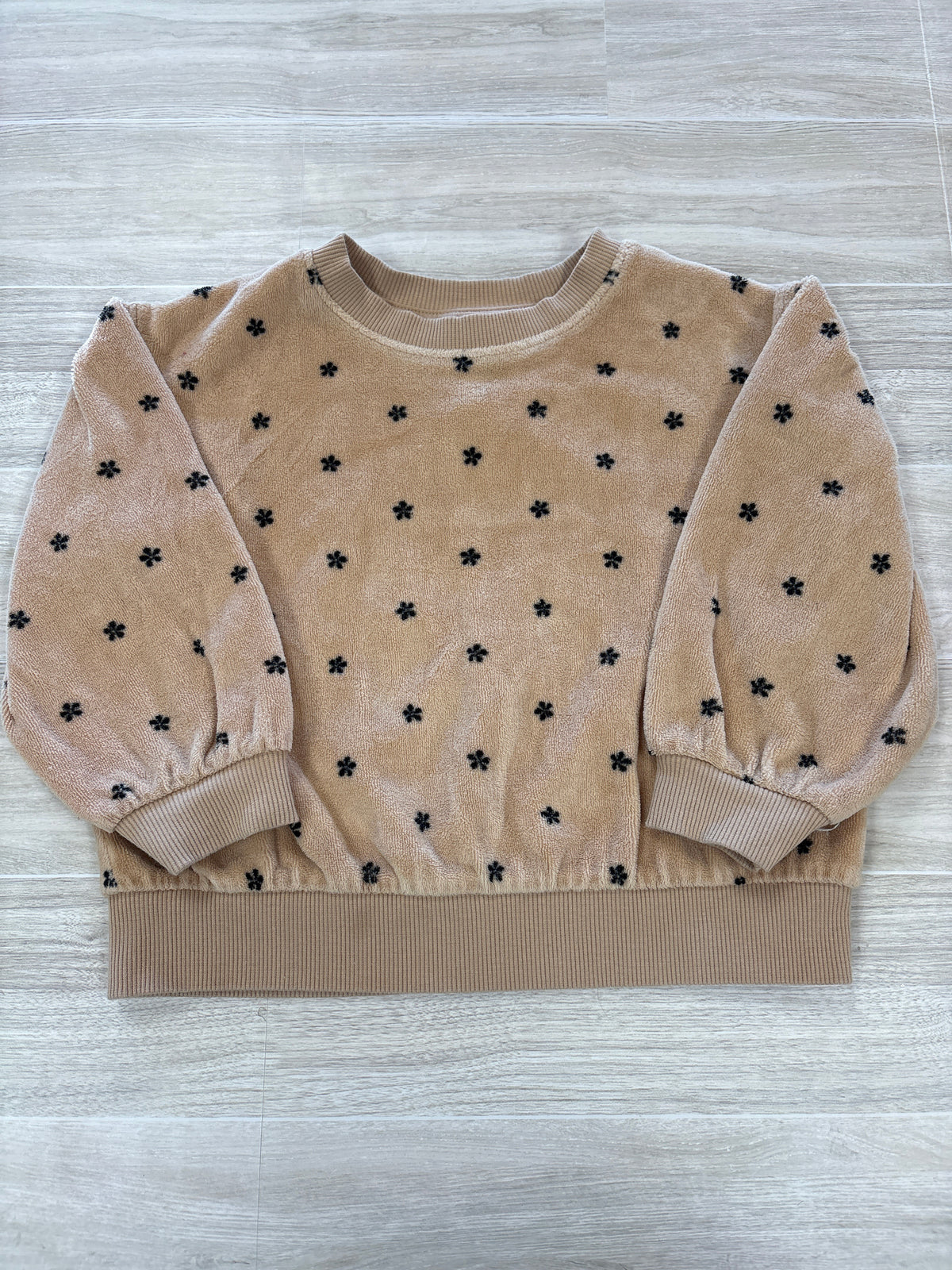 2T Tan Terry Mini Floral Crewneck