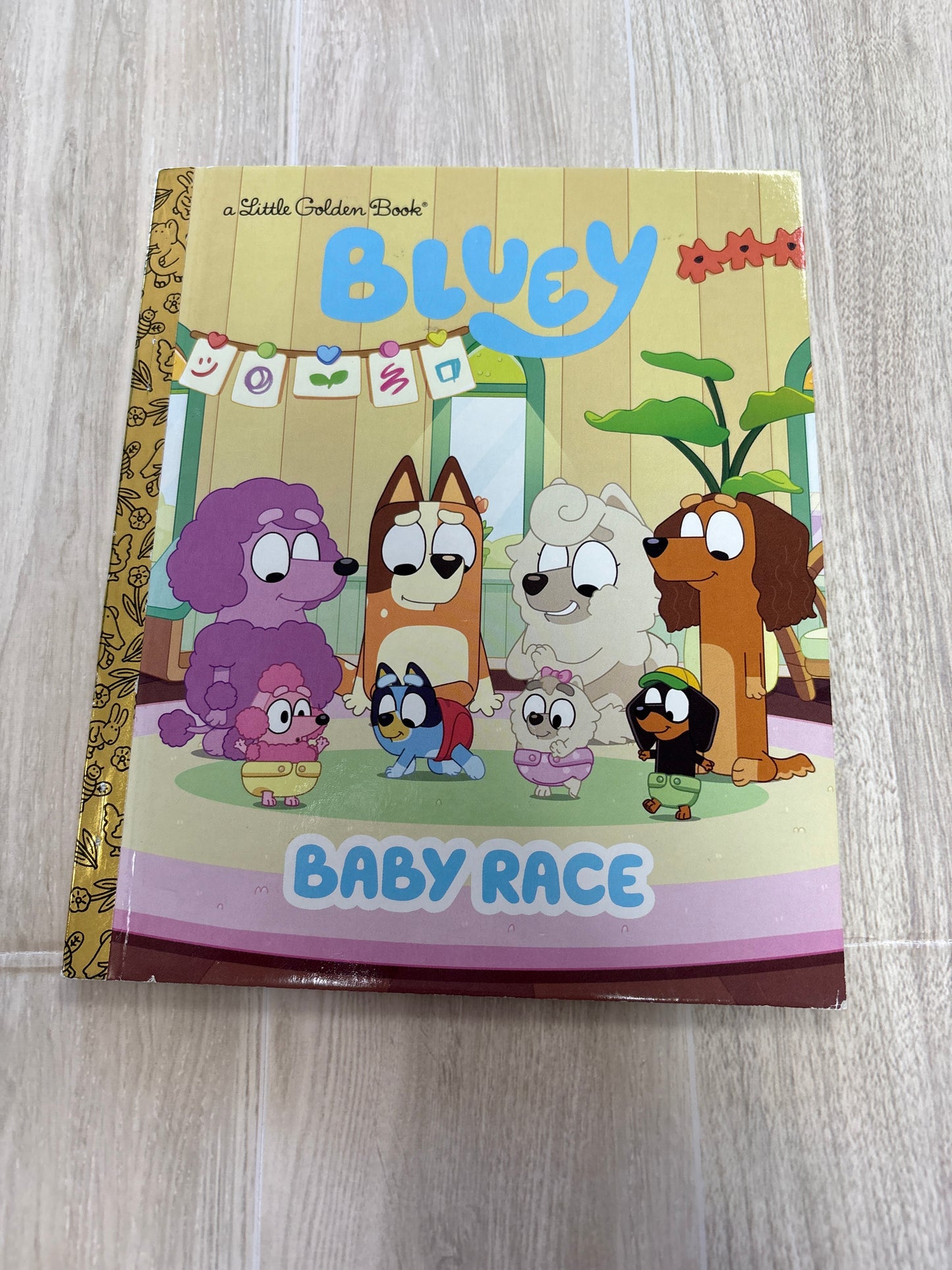 Book - Bluey Baby Race