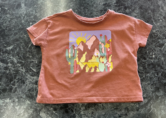 18m Desert Scape Graphic Shirt