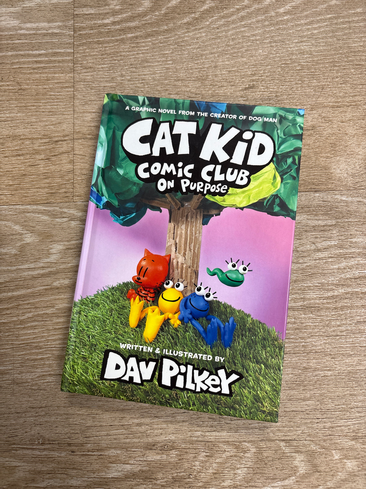 Book - Cat Kid Comic Club On Purpose