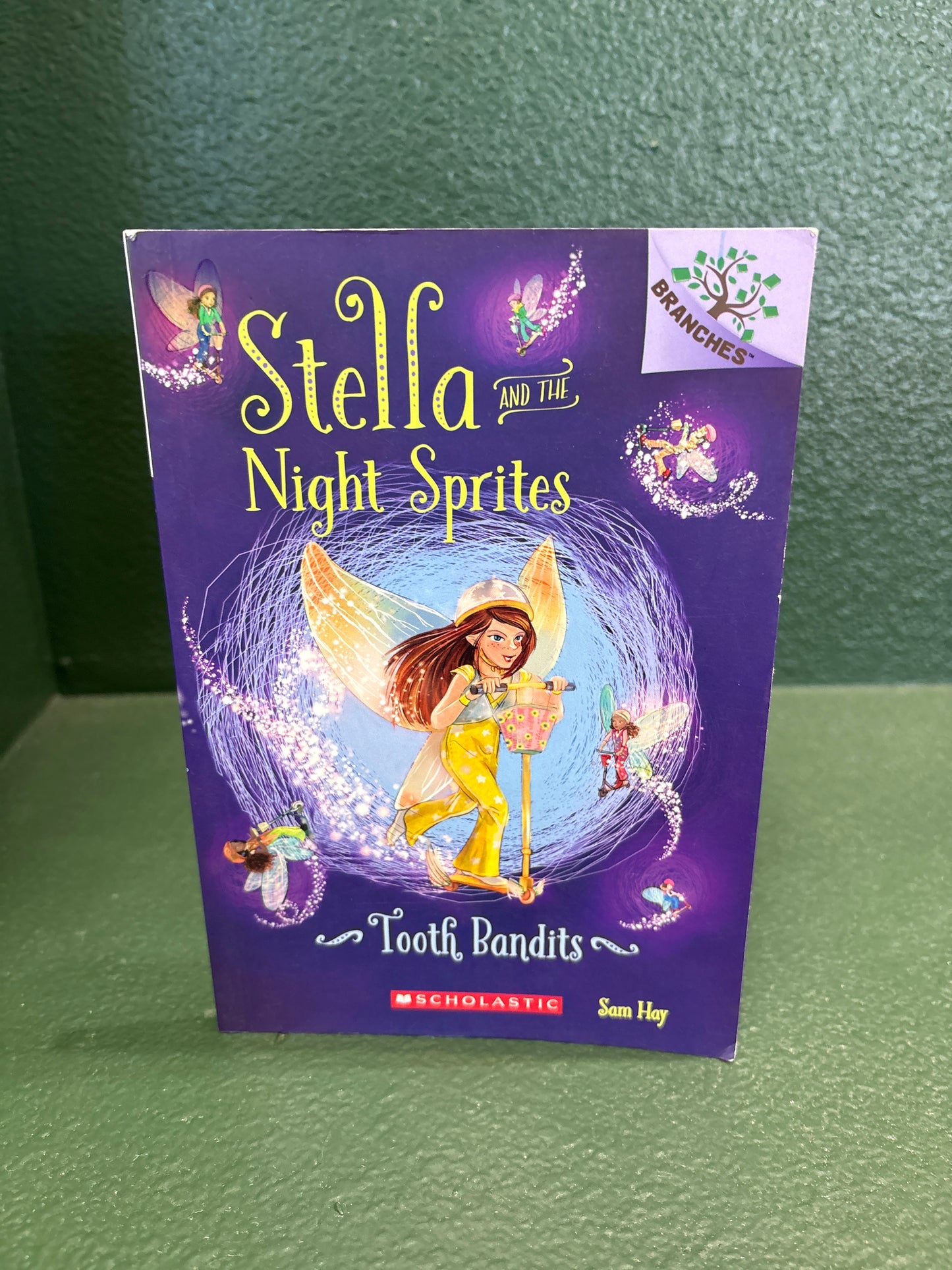 Book - Stella and the Night Spirtes Tooth Bandits