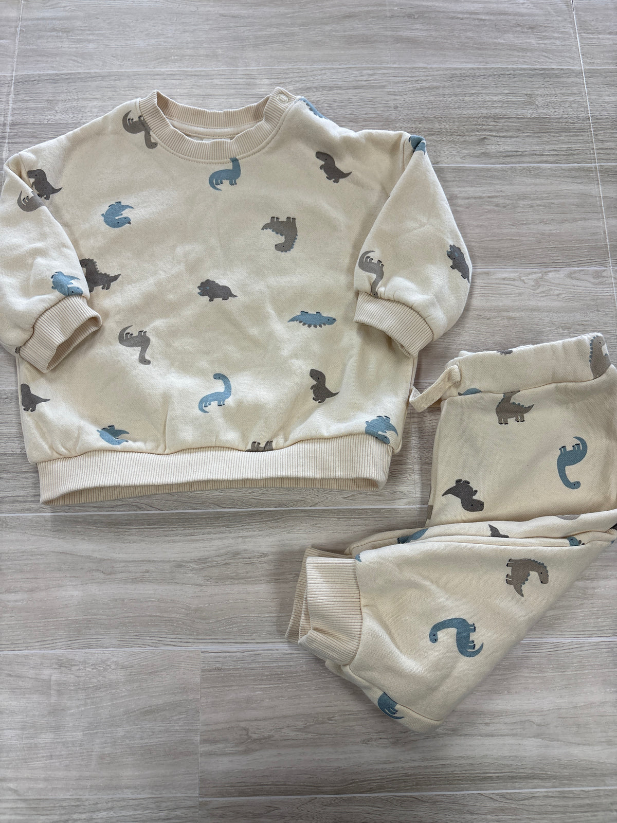 6m Cream Dino Graphic 2 Piece Lounge Set